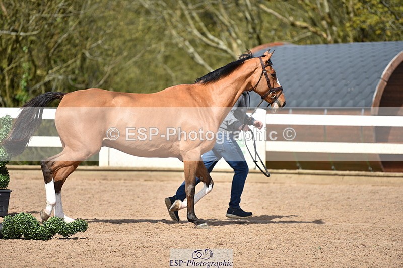 240417A-143902-00597 - 2pm to 3pm