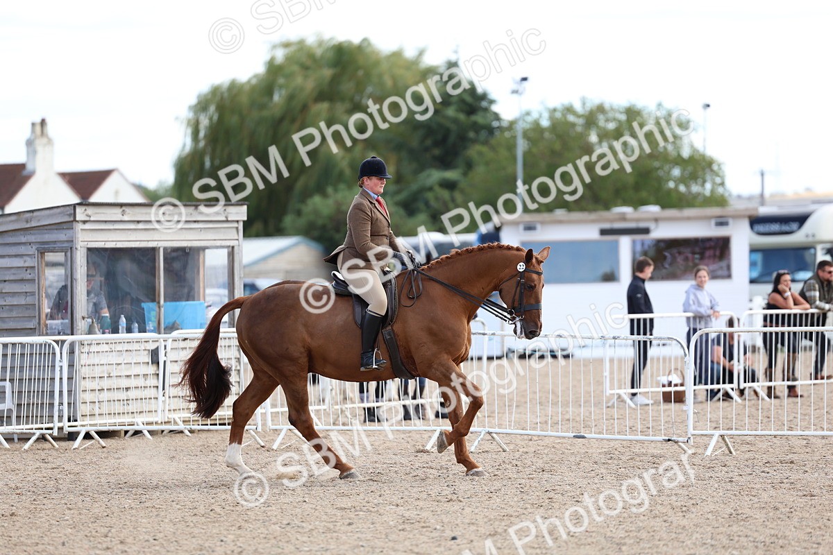 SBM_17200 - Class 315 - Best Horse - Rider Combination