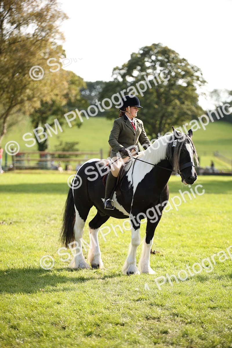 SBM_50139 - S26 - Young Veteran - Ridden