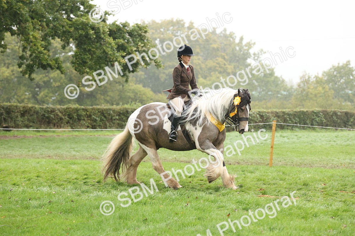 SBM_72920 - Ridden Horse Supreme Championship