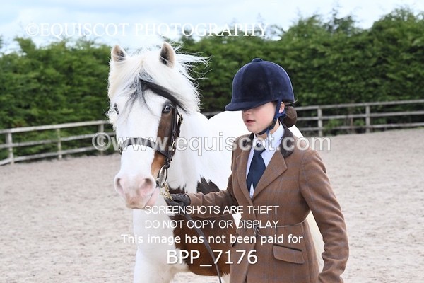 BPP_7176 - RING 1  (RIDDEN HORSES / IN HAND / VETERAN ETC)