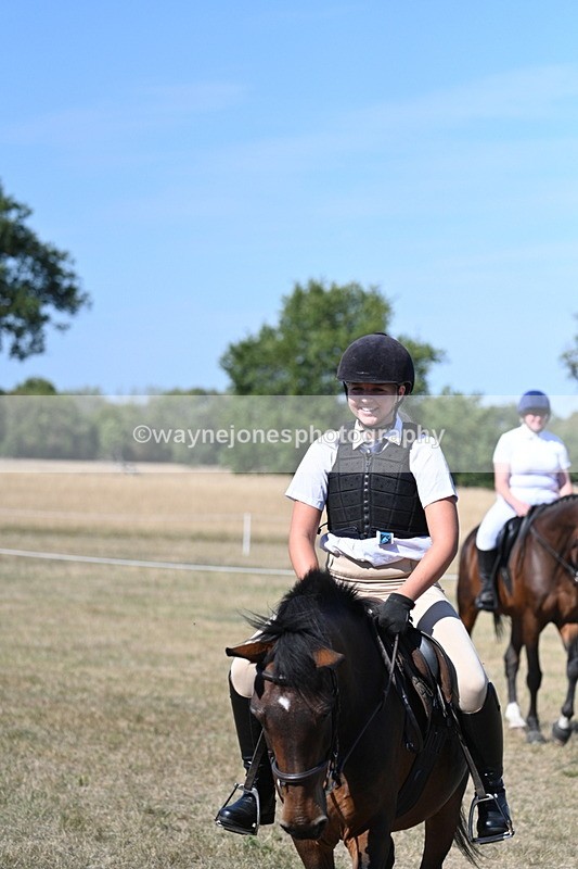 WJ7_1517 - Class 42 Most Handsome Gelding