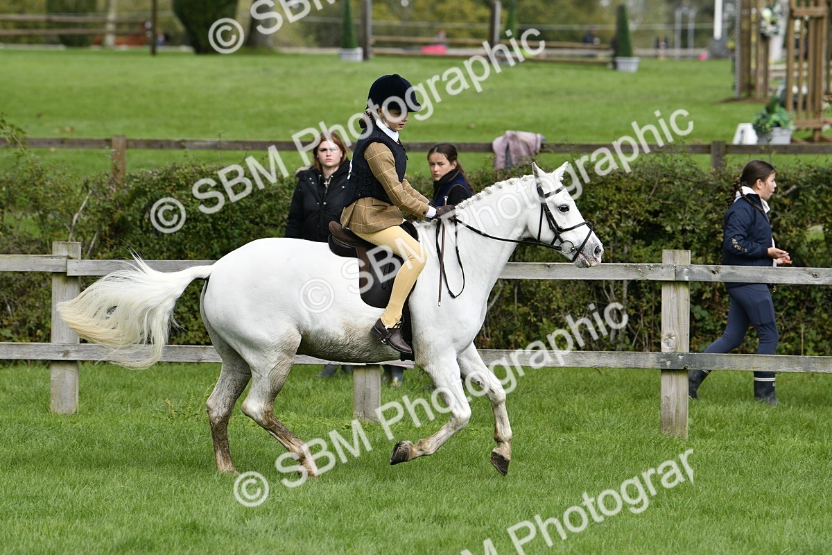 SBM_41601 - S32 - Mountain & Moorland Working Hunter Pony