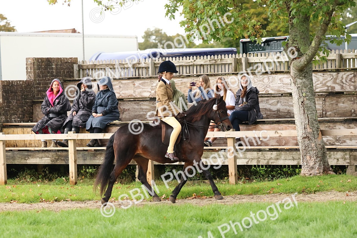SBM_44978 - S27 - Young Veteran Ridden