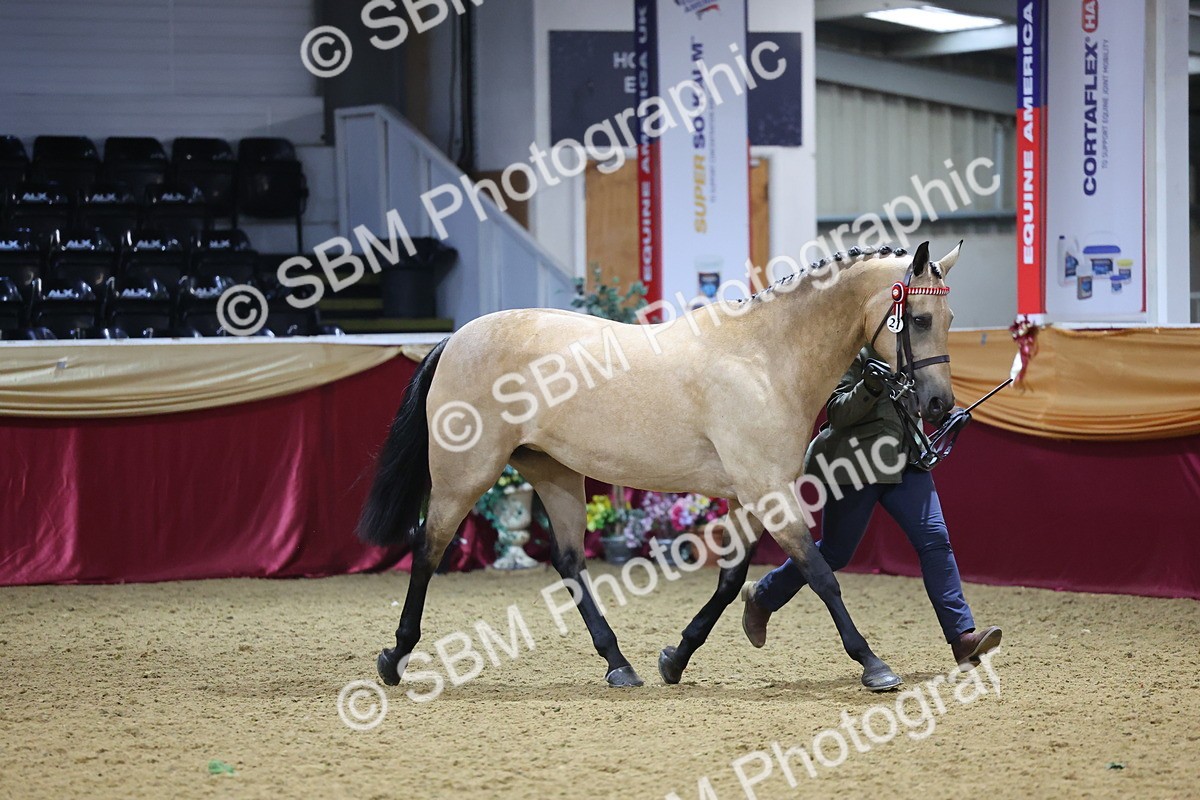 SBM_20793 - Class 902 - Supreme Final IH Veteran