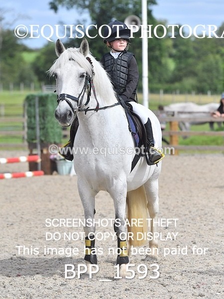 BPP_1593 - DERBY CLASS 3 - 40CM