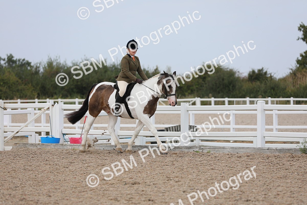 SBM_16856 - Class 314 Family Horse/Pony
