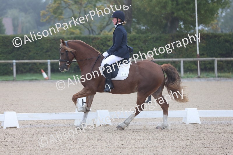 20251012-0020 - Class 1 - Prelim 5