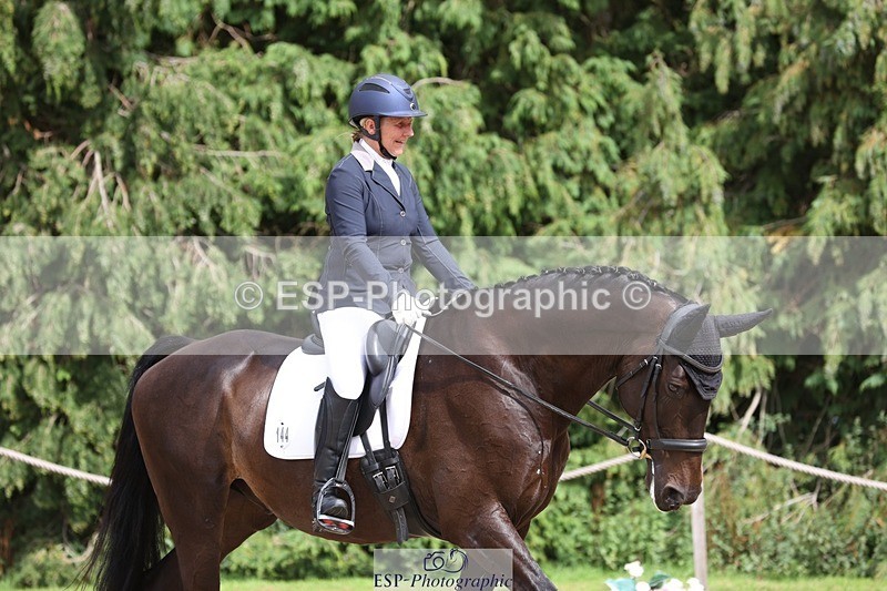 230812-152825-05149 - Cls 5 Novice Bronze 15.00 to End