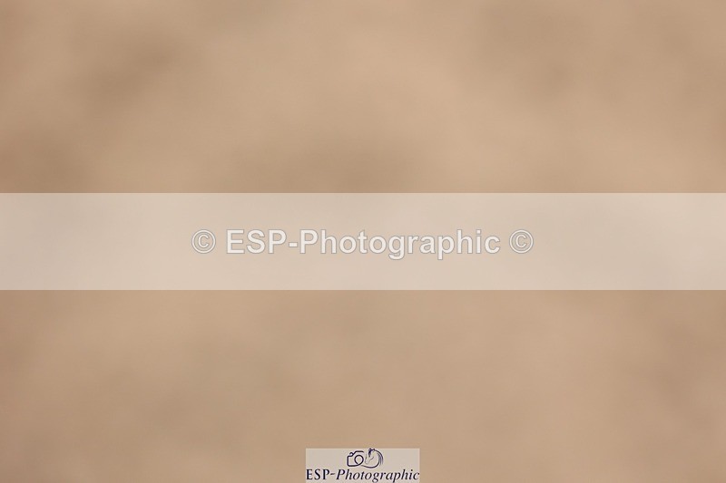 250629-132334-12123 - Cls 28 Pony Foxhunter Jump Offs & Presentations