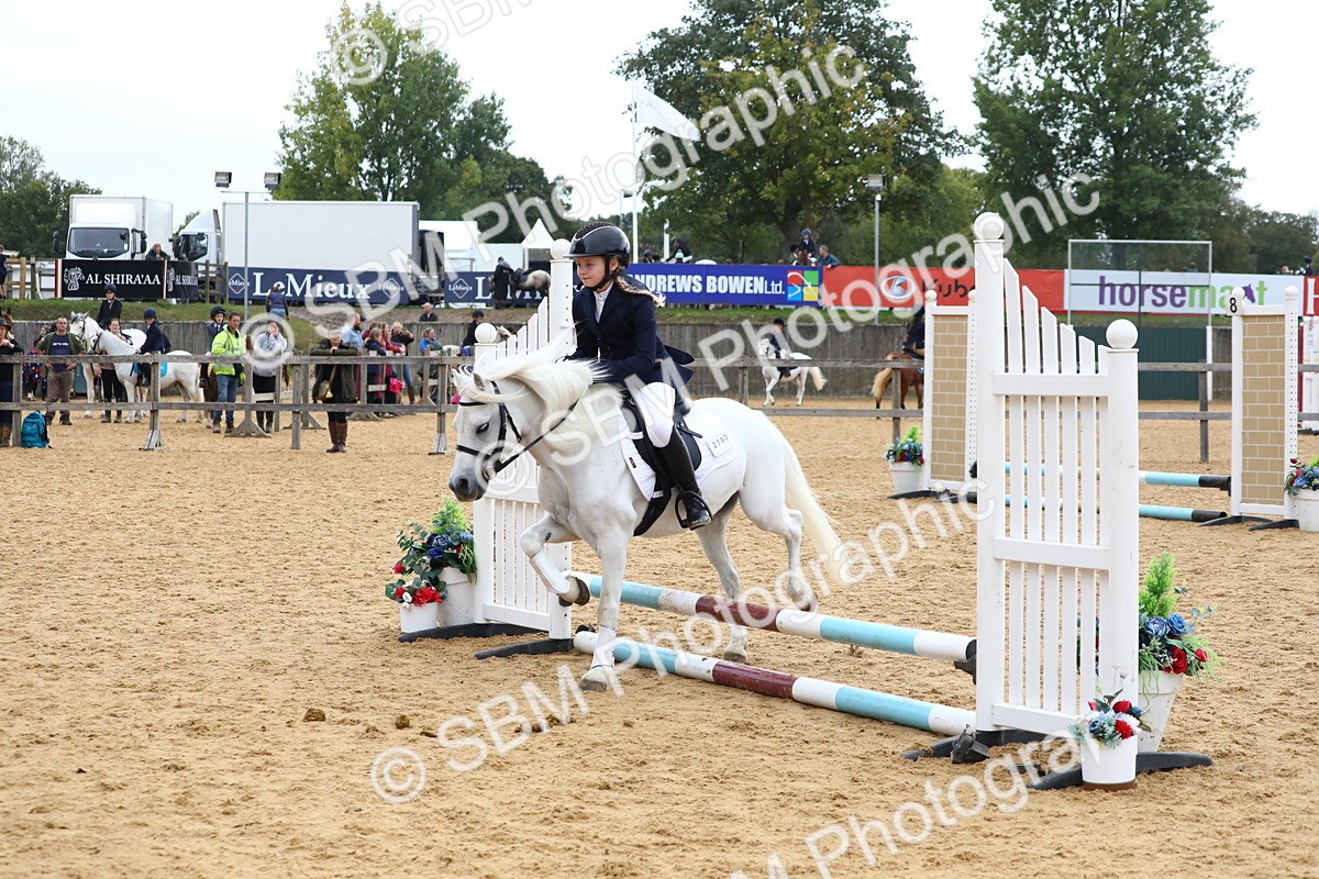 SBM_68106 - J3b - Mini Tour Junior Pony 40cm Championship