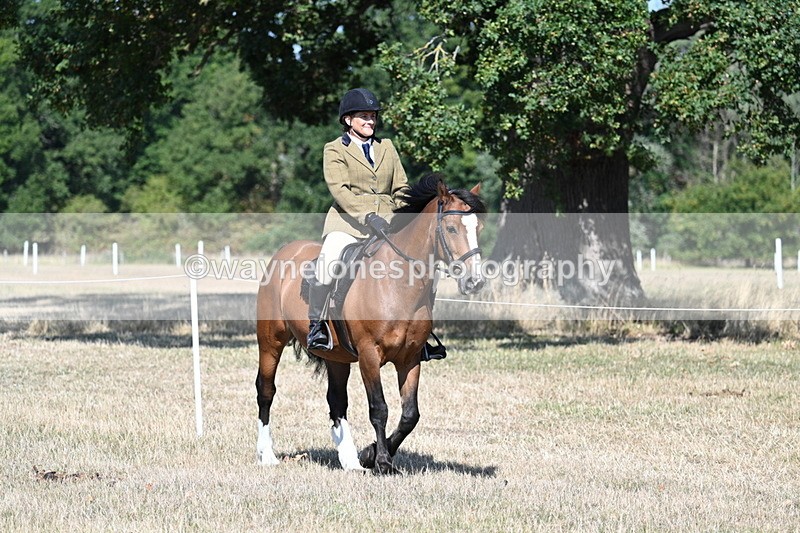 WJ7_3381 - Class 9 Mountain & Moorland Ridden