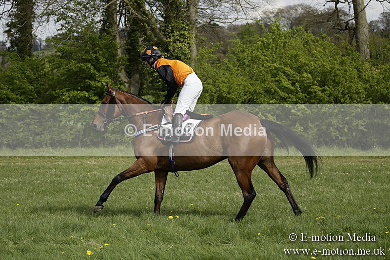 PtP 170417 262 - Old Berks Point-to-Point Lockinge 17/04/17
