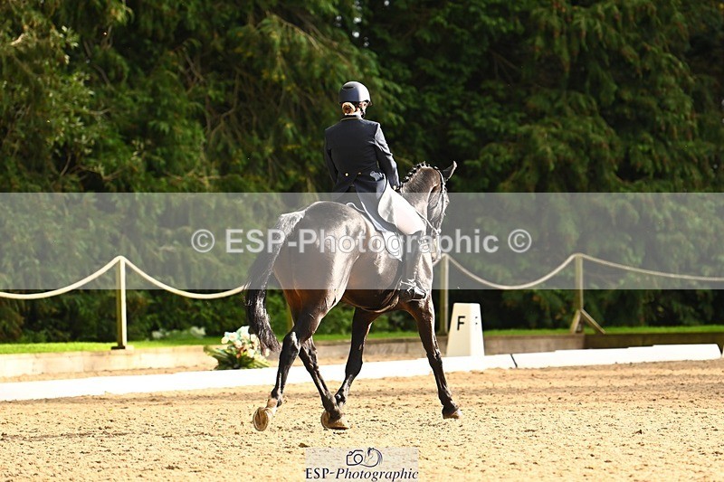 231021-153254-20890 - 259-BOSTON.IV-Rosie.Thomson-DR