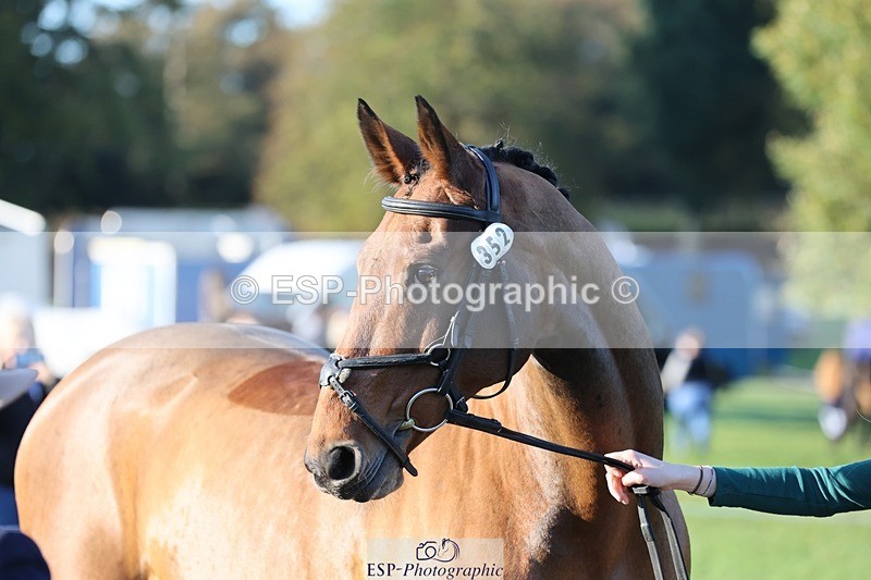 241027-085654-14918 - 352-Alice.Oldland-MISS.MARTA