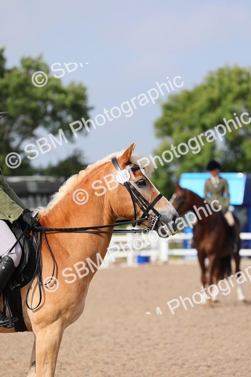 SBM_11418 - Class 305 Ridden Foreign Breeds- Pure Bred