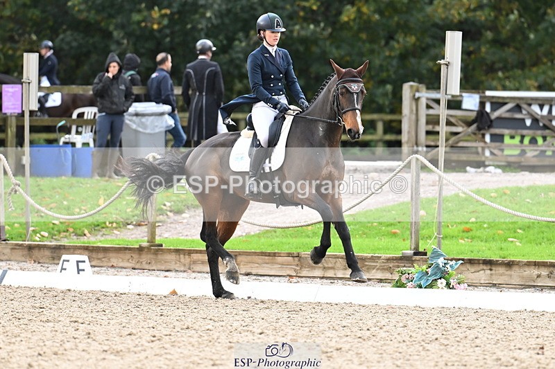 251023A-104657-01544 - B-131-Gemma.Gurvidi