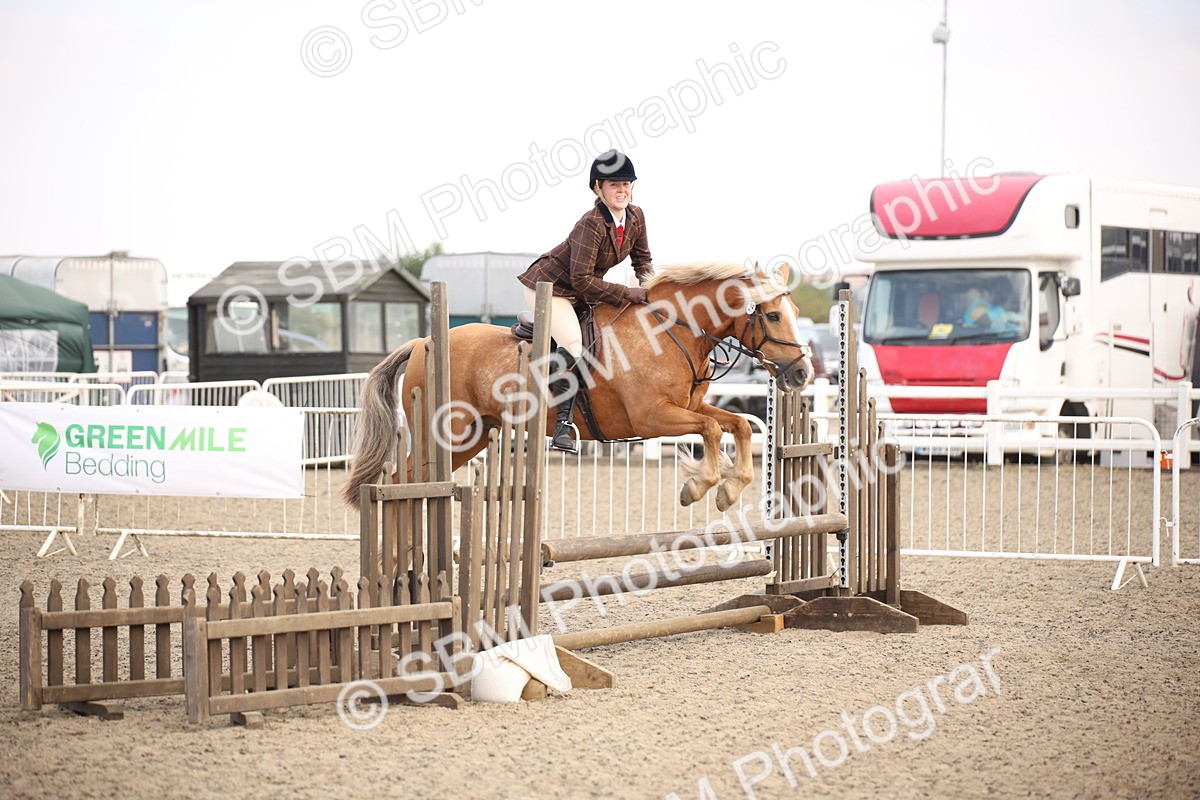 SBM_15997 - Class 408b - Working Veteran 70cm (20+)