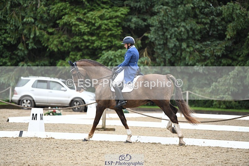 240720-160210-06350 - 142-Amberley_Pugsley-Hero_A