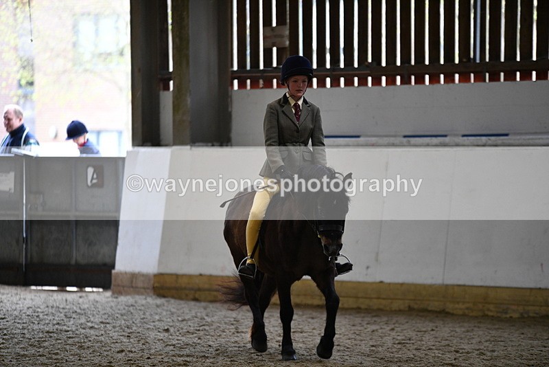 WJ5_6915 - Class 10 Childs Pony