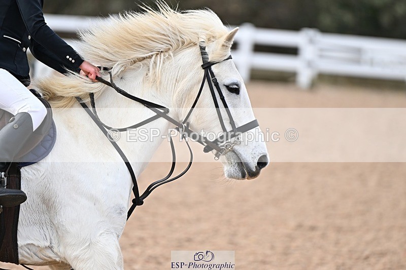 250308-132518-01953 - Cls 31 11 Years and Under