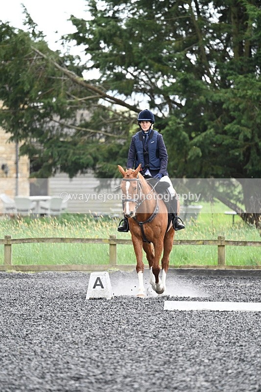 WJ7_0724 - Time 14:01 to 14:12