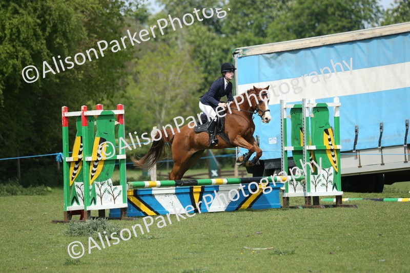 20260426-1724 - Class 14 - Novice 60cm