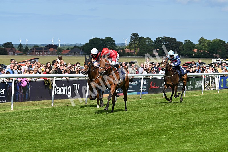 280525-Race 3-Rogue Invader-4825 - Race 3