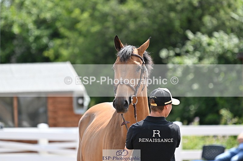 240717A-151459-02684 - Trot Up 3pm to 4pm