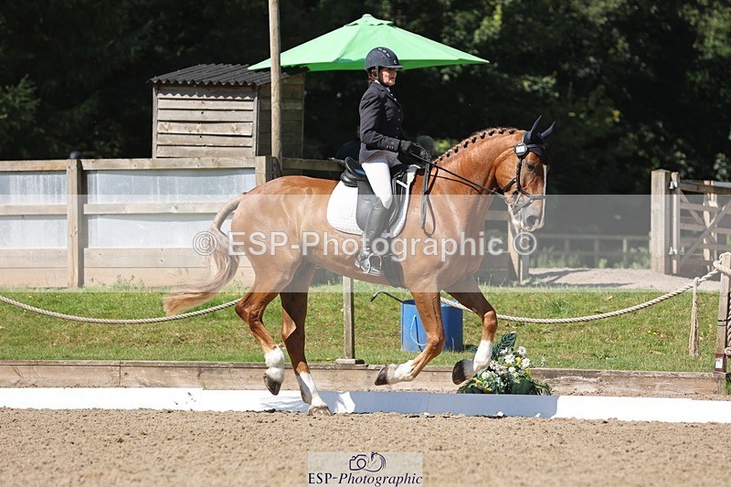 240719-103905-00753 - 223-Deborah_Randall-Sandy's_Bertie