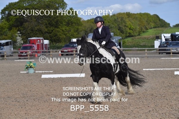 BPP_5558 - 4 L DENHOLM