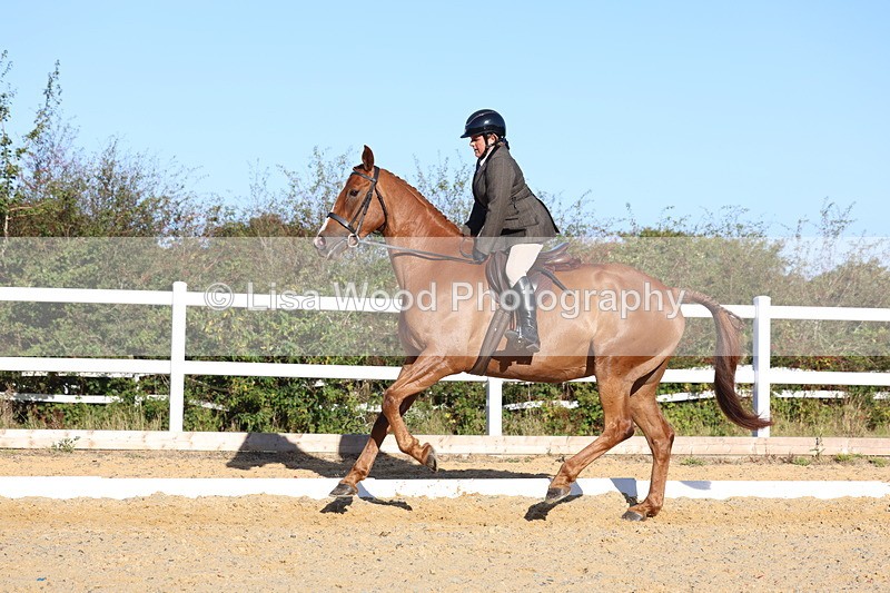 3E7A5202 - Class 7: Novice Ridden Hunter/Hack/RH/Cob
