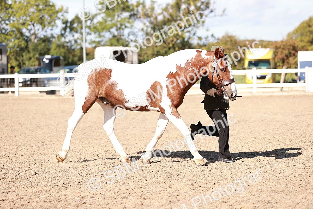SBM_13222 - Class 405 - IH Show Cob