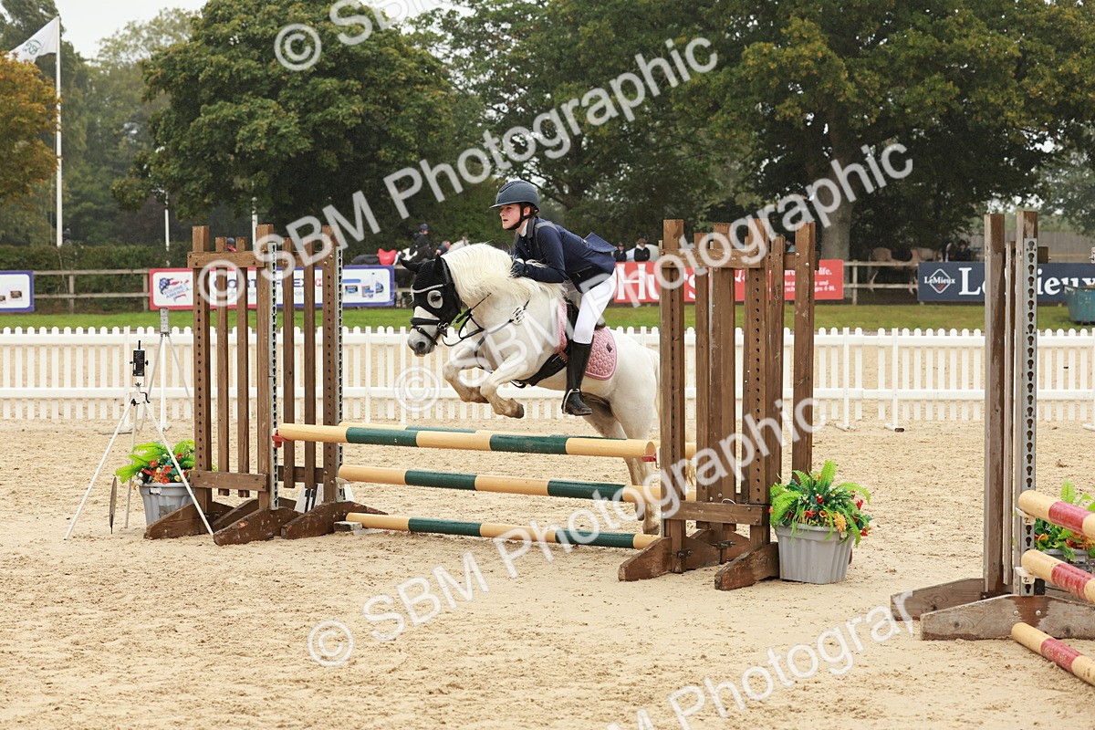 SBM_71223 - J14 - Junior Pony 65cm Championship