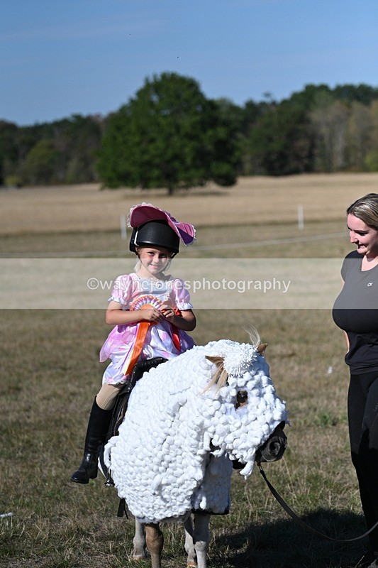 WJ7_2894 - Class 45 Fancy Dress (My Fav)