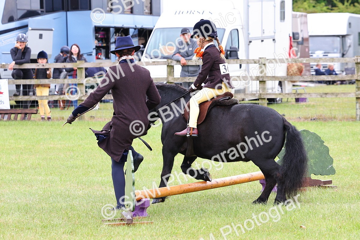 SBM_08161 - Class 42-43 - LIHS BSPS Heritage Working Sports Pony