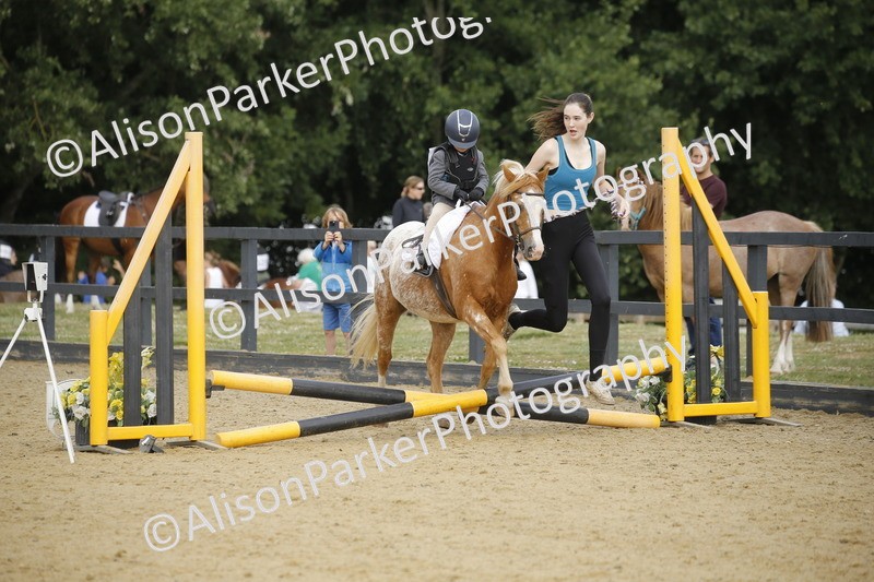 20250622-1316 - 40cm