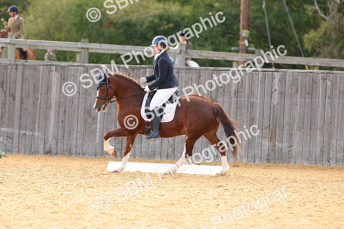 SBM_51207 - D12 - Small Tour Championship - Prelim 18