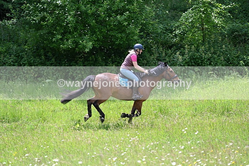 WJ7_8860 - Group 4 11am