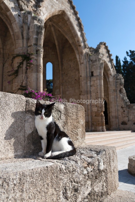 YR6M8115  (RM) - Worldwide