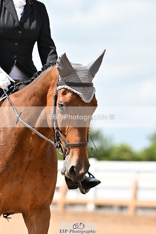 240622A-145732-12004 - Cls 5 Novice 27