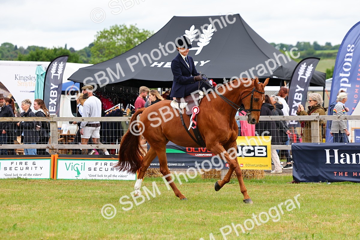 SBM_02787 - Class 9-11 Side Saddle including LIHS Rising Star Ladies Show Horse
