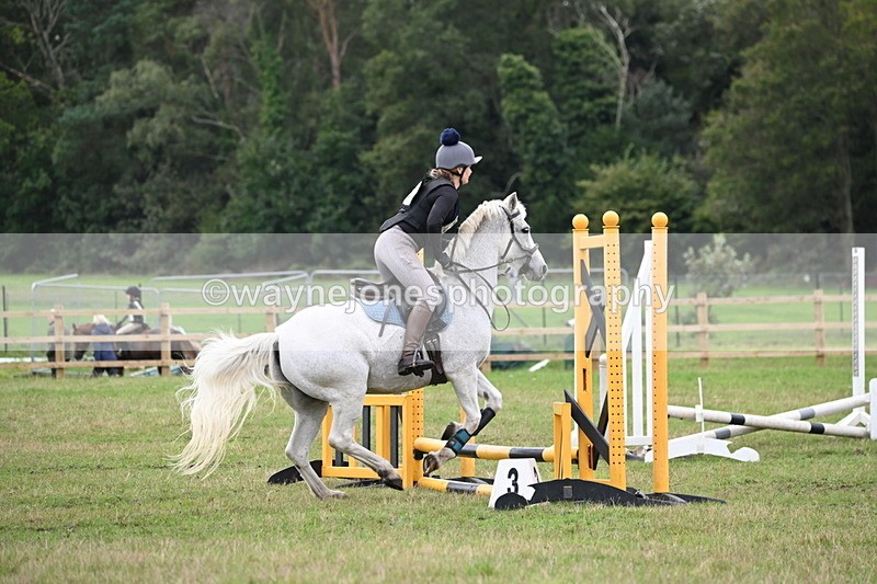 WJ6_0586 - 40cm Time 10:29 to 10:52