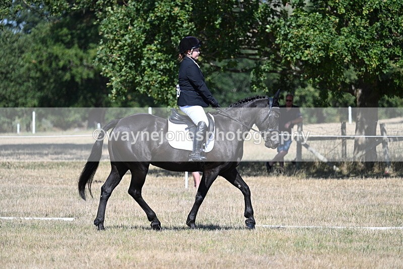 WJ7_0505 - Time 12:03 to 12:23