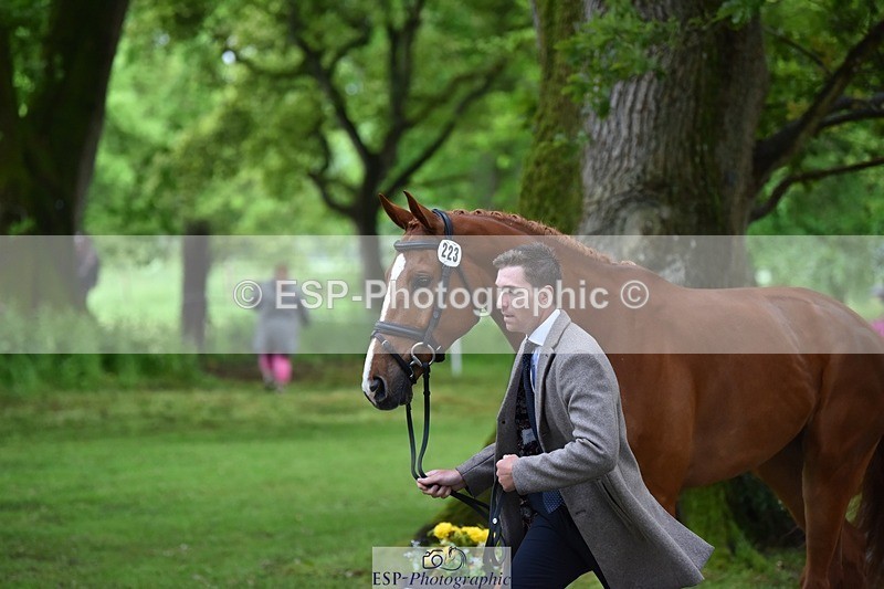 240522-165050-01196 - 223-MORNINGSTAR_VAN_ALTRIDO-Max_Warburton