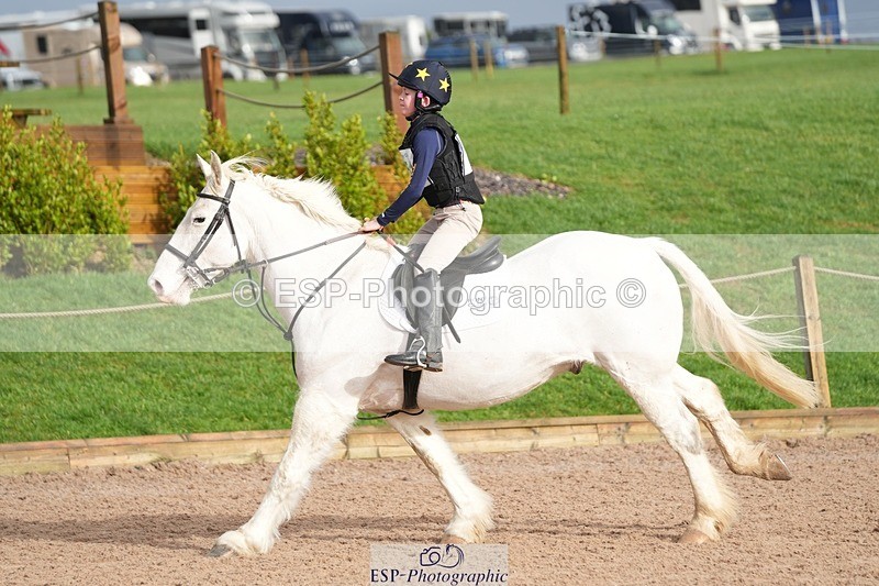 260131PC-115328-01672 - Cls 2 80cm