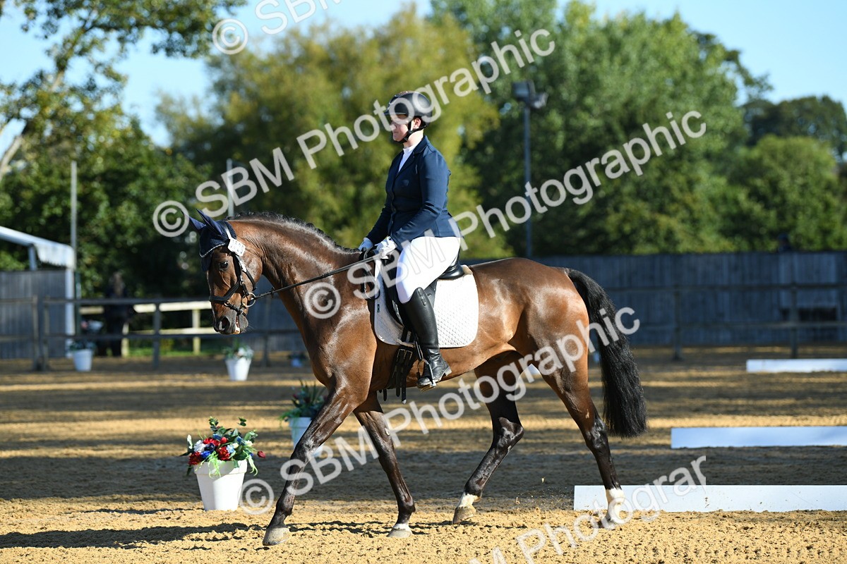 SBM_16158 - D4 - Small Tour Championship - Intro B