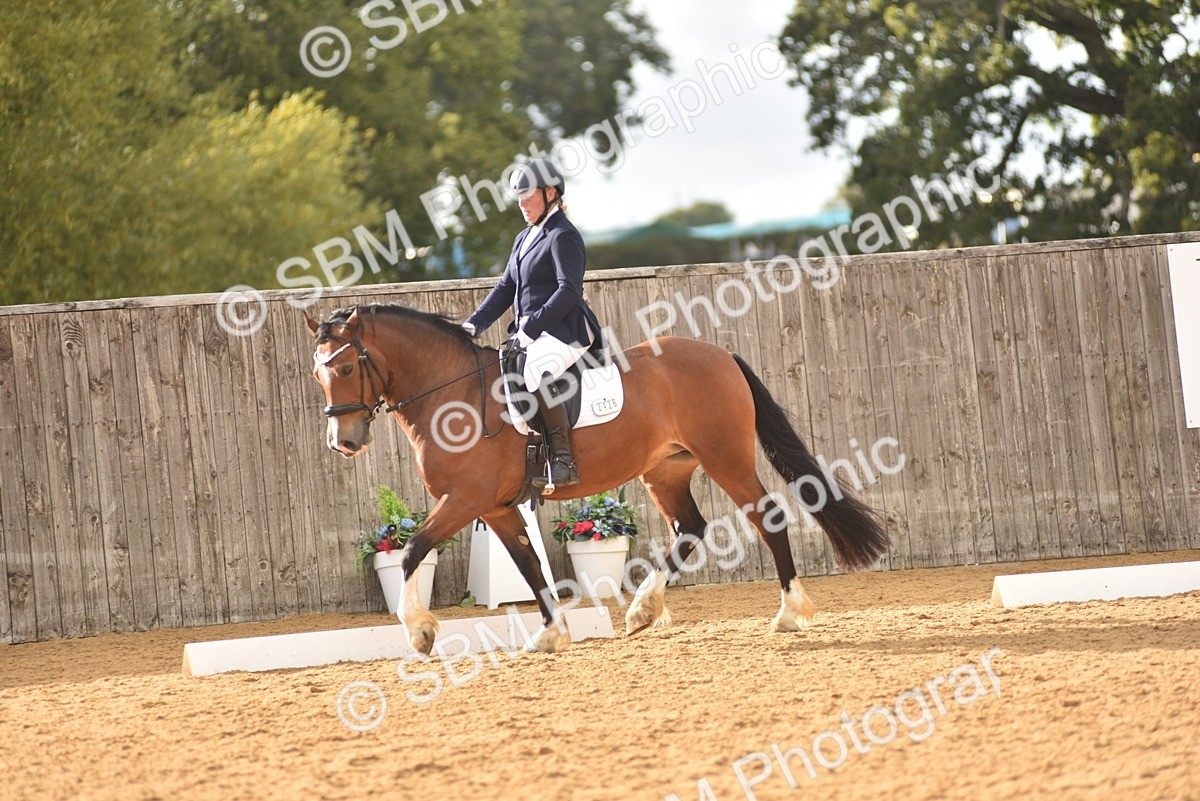 SBM_29656 - D16 -Small Tour Championship Novice 2