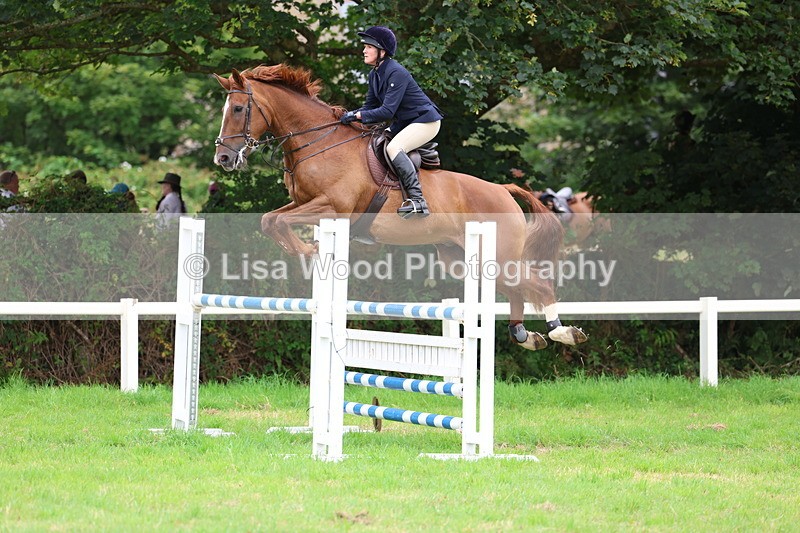 3E7A8382 - Class 8: Senior Foxhunter/1.20m open