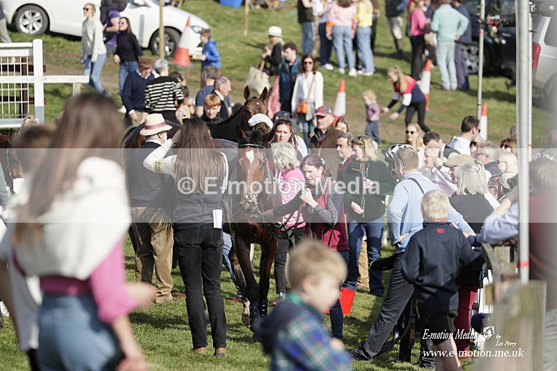 PtP 080423 665 - Dingley Races The Woodland Pytchley Hunt PtP 08/04/23